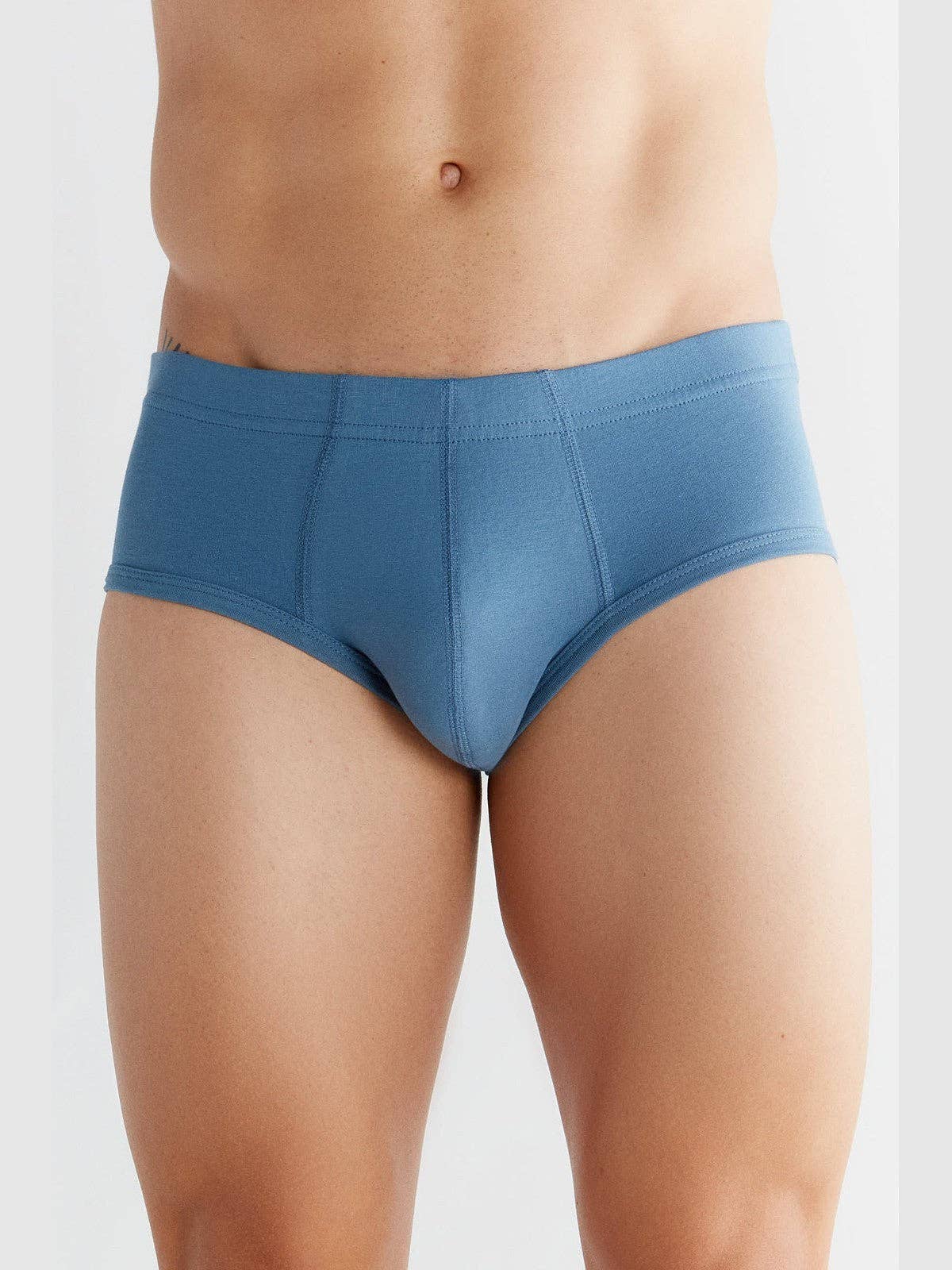Organic Cotton Briefs: Mens