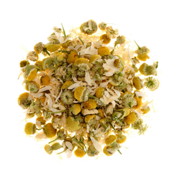 Chamomile - (Matricaria chamomilla)