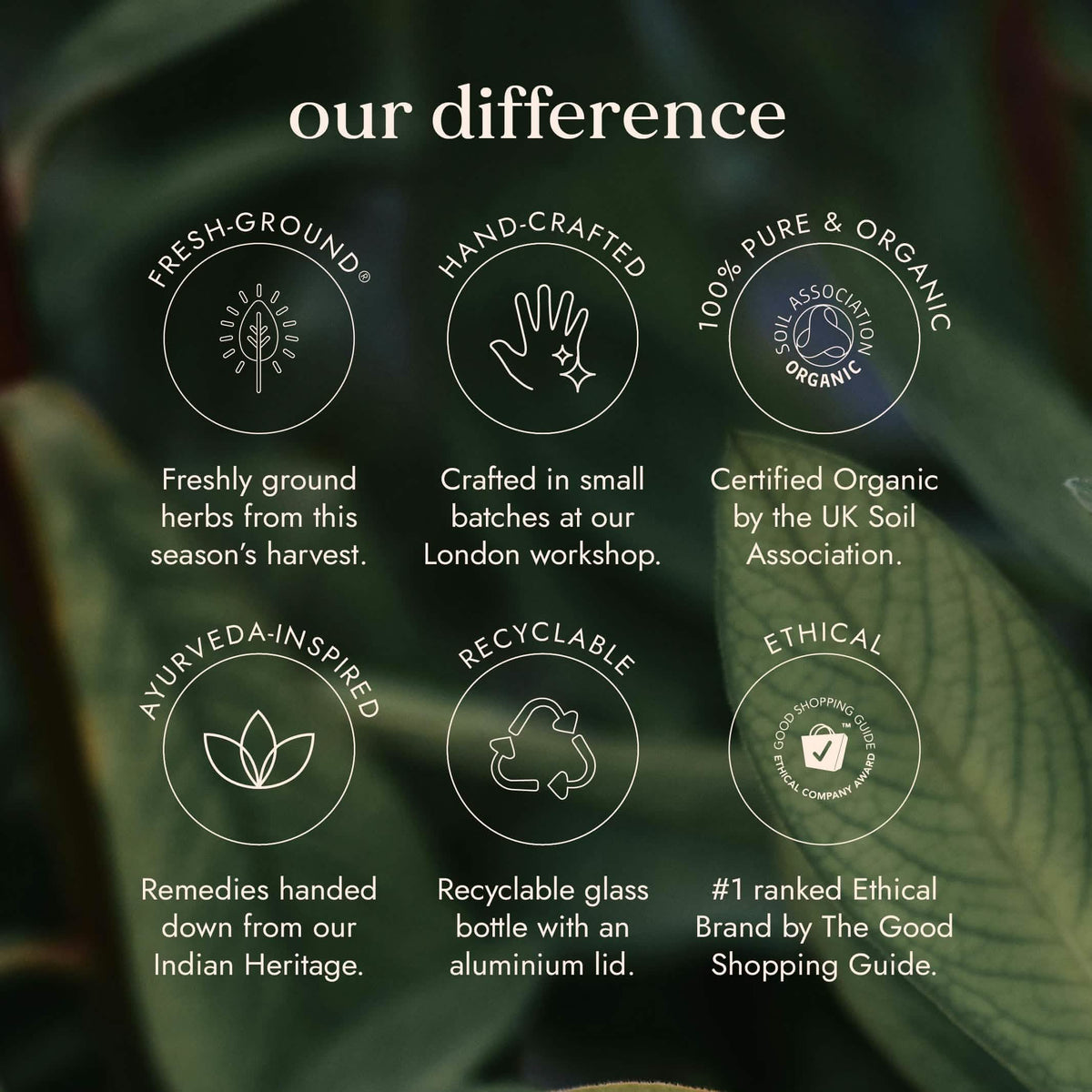 Organic Gurmar Leaf