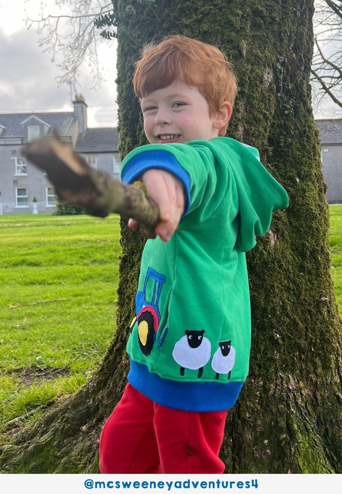 Organic Hillside Applique Hoodie