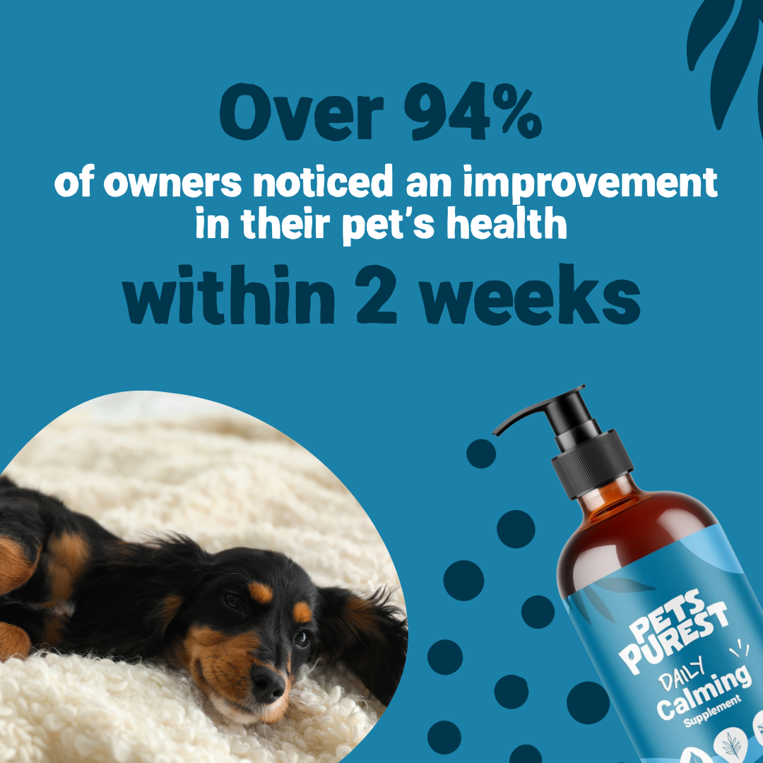 Daily Calming Supplement 300ml