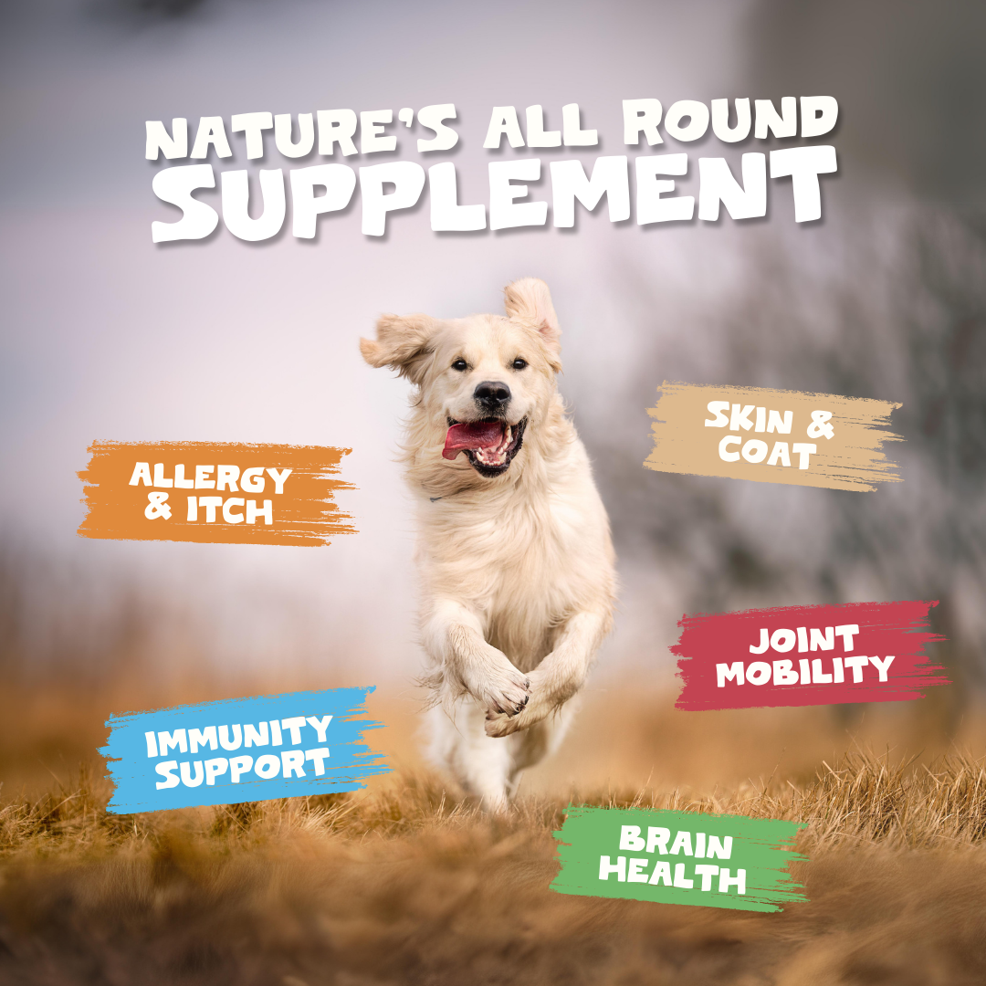 Scottish Salmon Oil - Cold Pressed