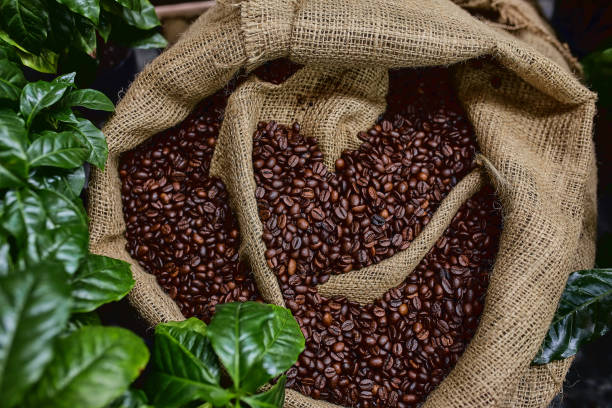 Inverness Roasting Company