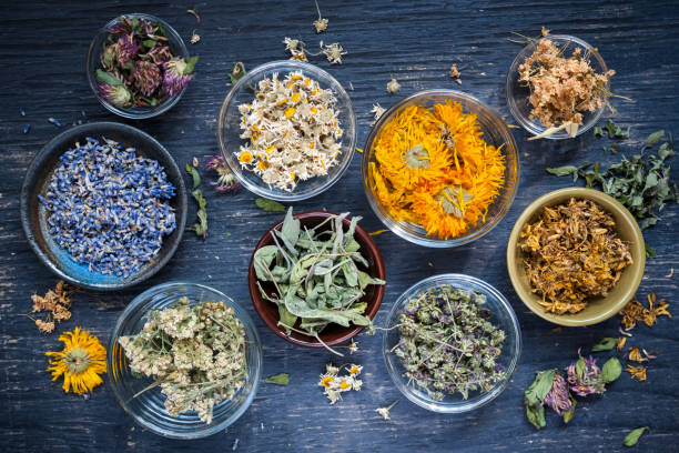Premium & Herbal Teas