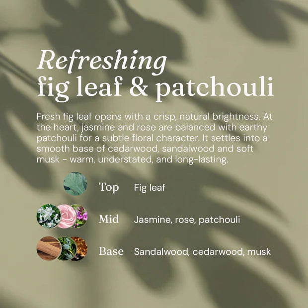 Miniml Limited Edition – Fig Leaf & Patchouli