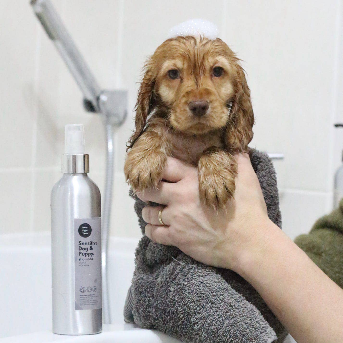 Puppy shampoo |Sensitive Dog Shampoo | Natural Olive & Aloe