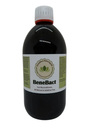 Benebact Gut Reconditioner - 525ml