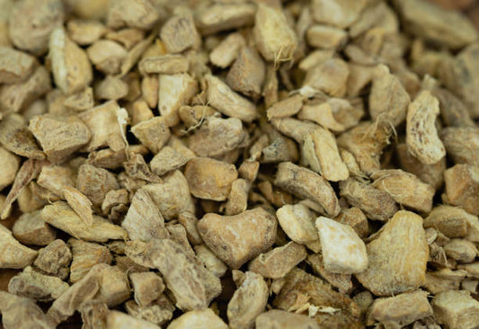 Ginger (Zingiber officinale)