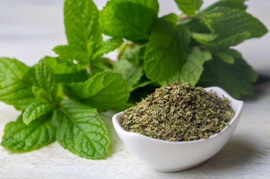 Peppermint (Mentha piperita)