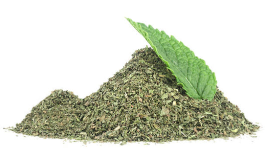 Spearmint (Mentha spicata)