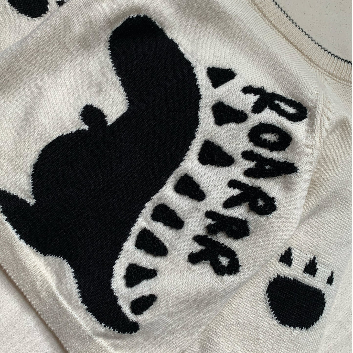 Dino Jumper