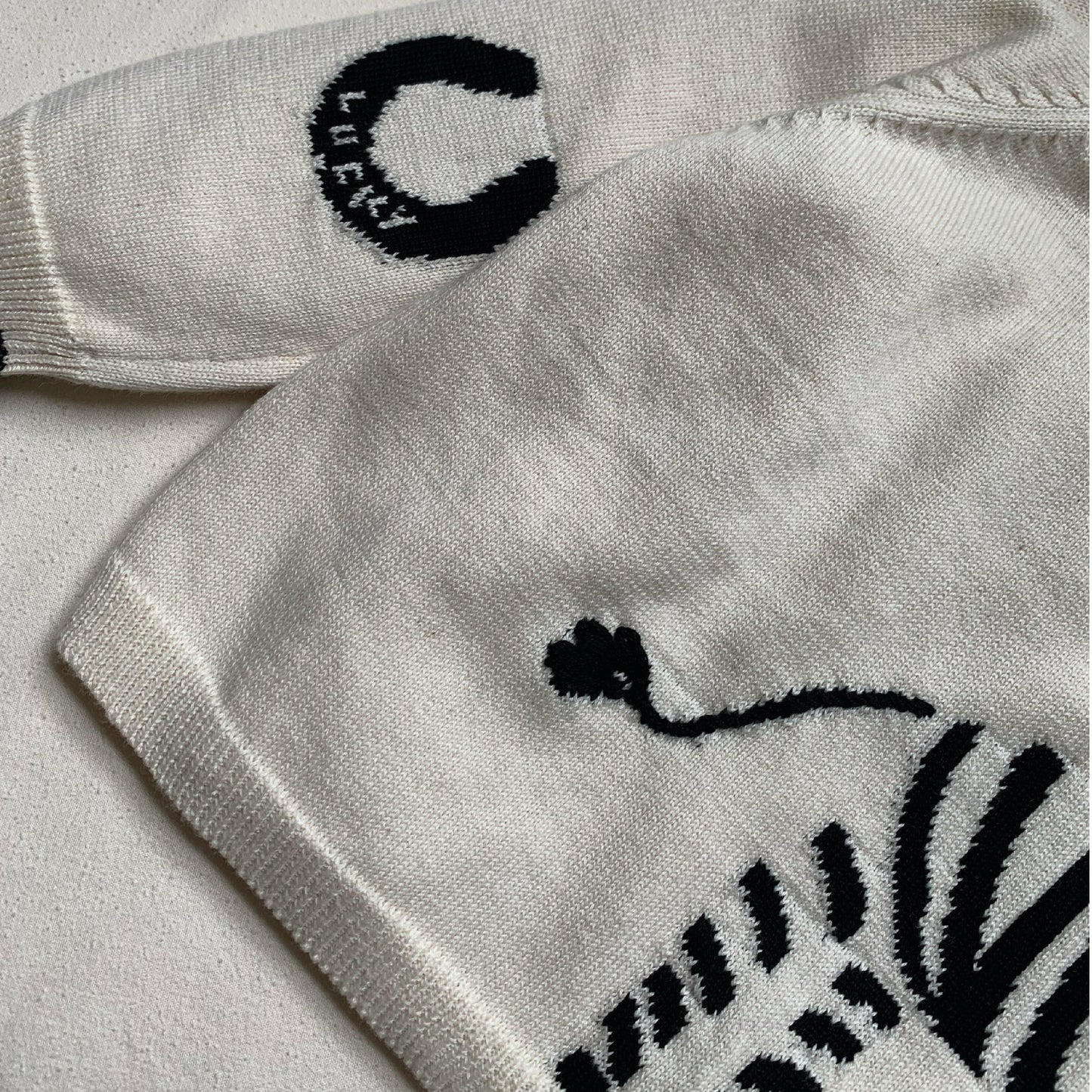 Lucky Zebra Jumper