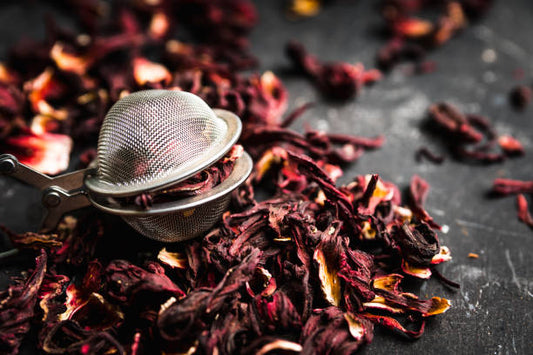 Hibiscus (Hibiscus sabdariffa)
