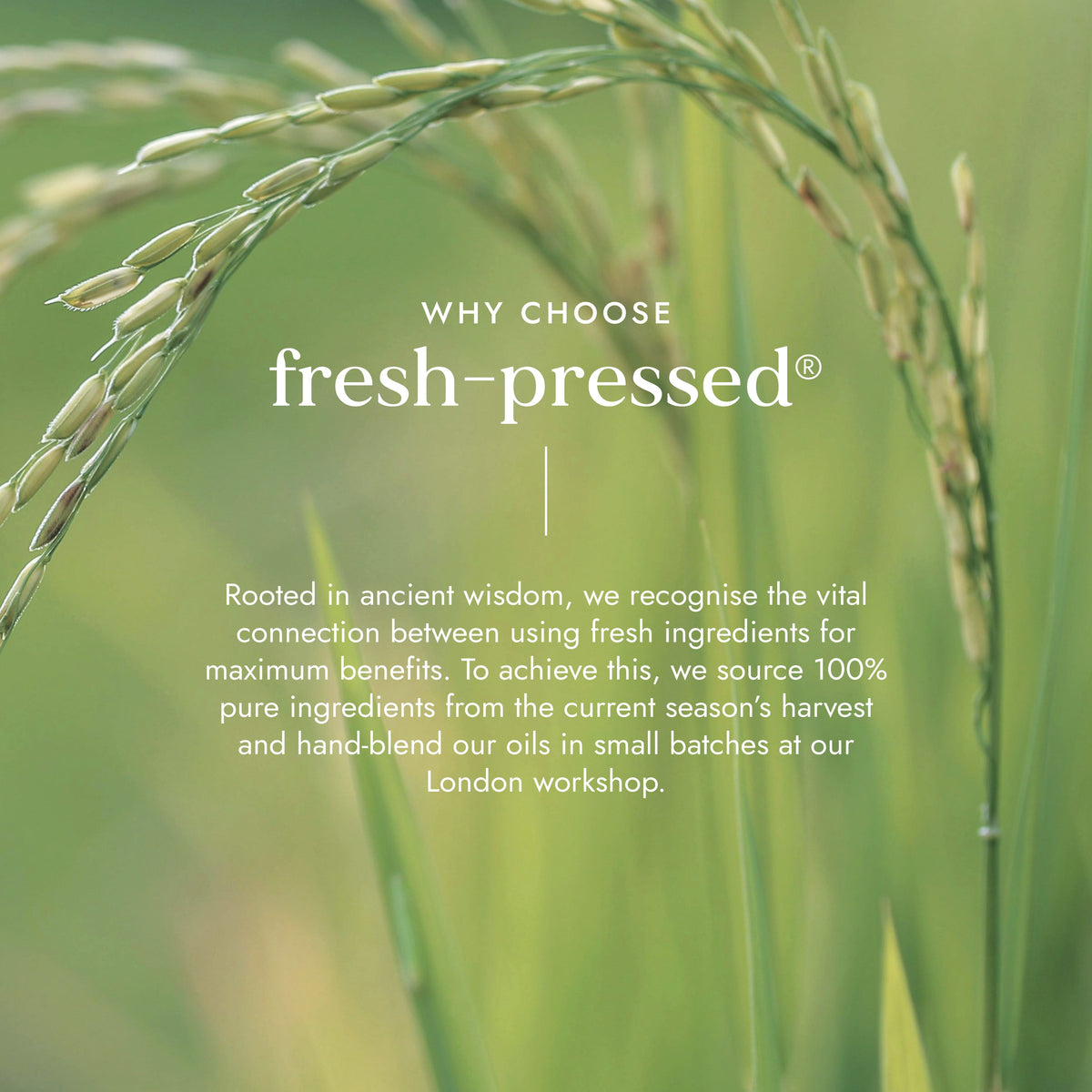 Biovedic Radiance Face Cream 50ml
