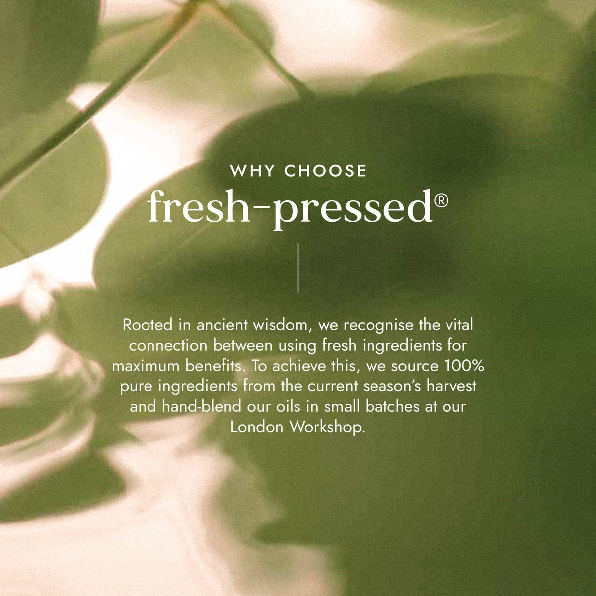 Organic Tamanu Oil 50ml