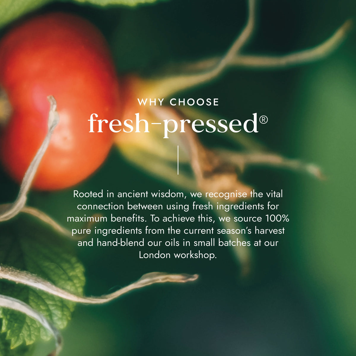 Organic Rosehip Oil 100ml