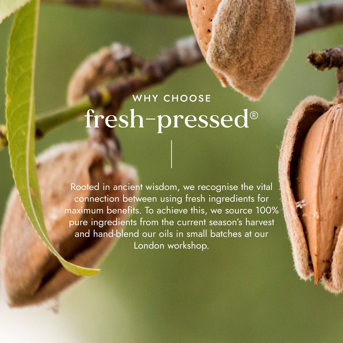 Organic Sweet Almond Oil 100ml