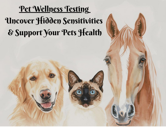Bio-Resonance Testing (Pet Analysis)