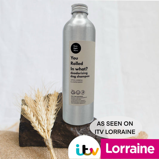 ‘You rolled in what’ | Deodorising Dog Shampoo | Natural 