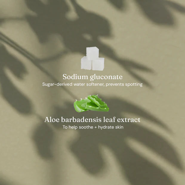 Miniml Hand Wash – Fig Leaf & Patchouli (Limited Edition)