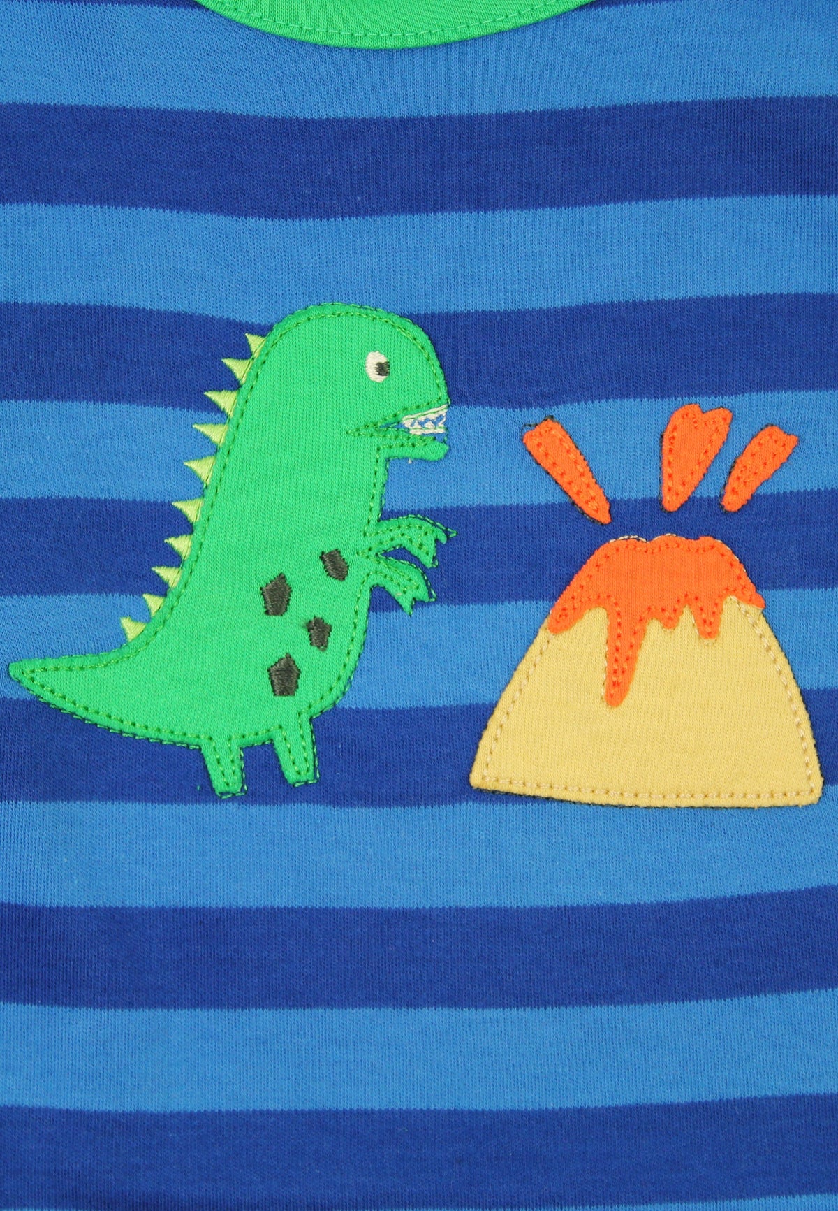 Organic Blue Tonal Dinosaur Applique Long-Sleeved T-Shirt