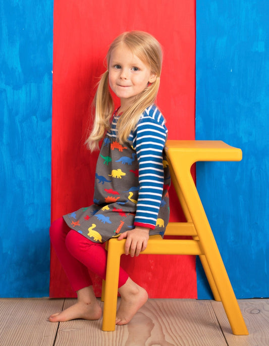 Organic Dinosaur Print Dress