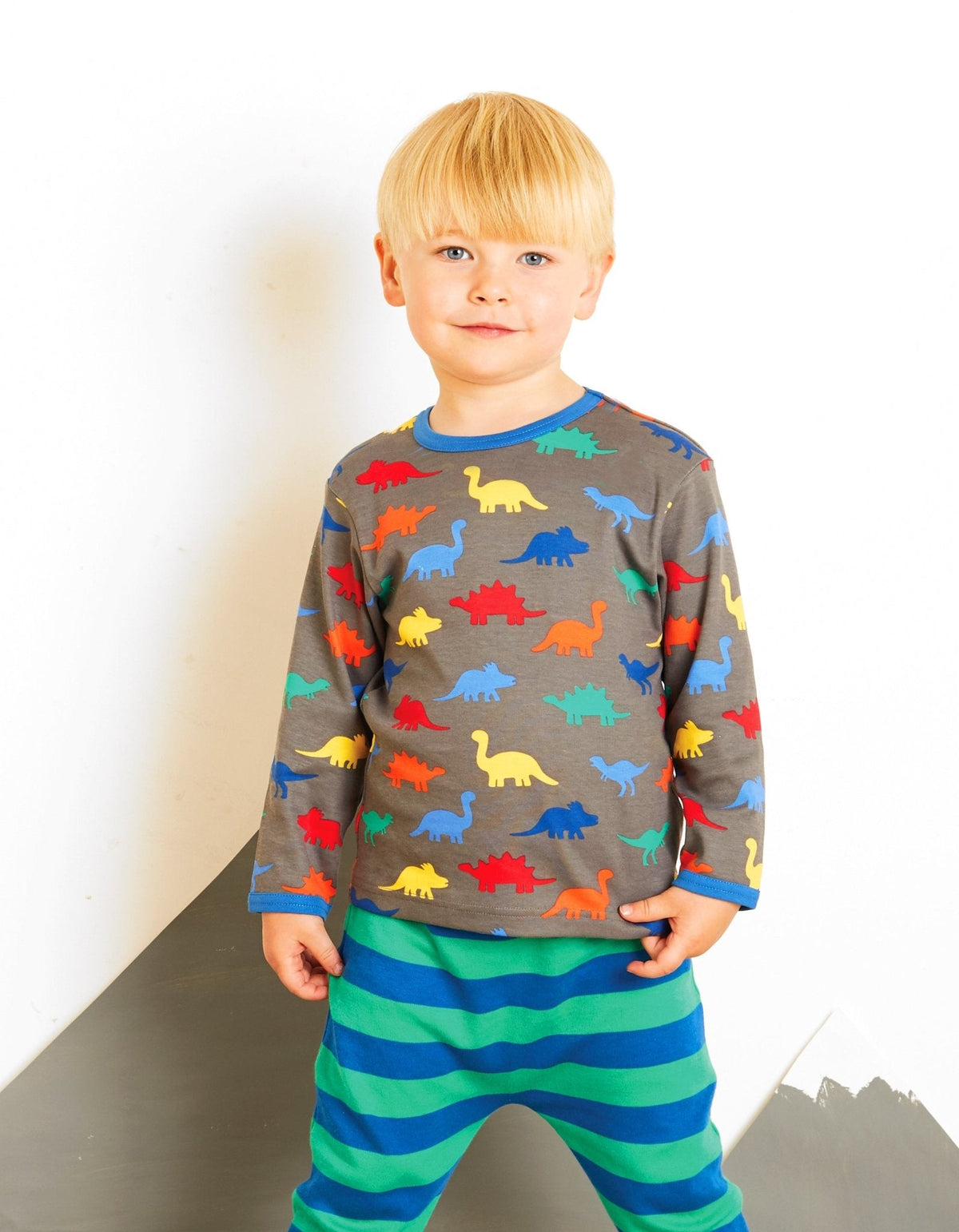 Organic Dinosaur Print Long-Sleeved T-Shirt