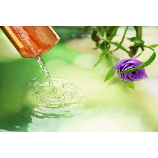 Orange & Geranium Foam Bath & Shower Gel - Bright, uplifting & joyful