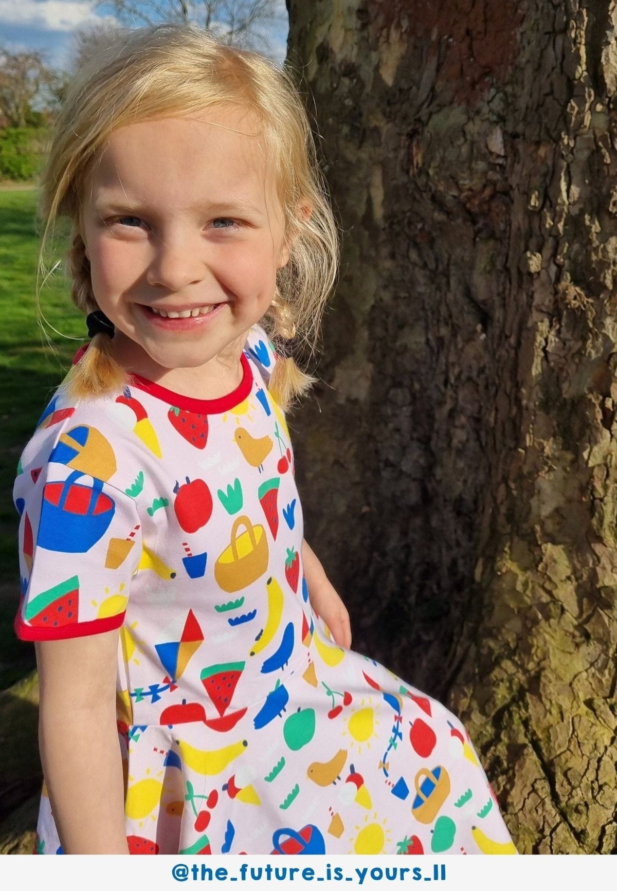 Organic Picnic Print Short Sleeved Skater Dress